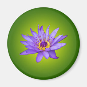 Imán Flor de Nenúfar Estanque Acuático Flor de Agua Púr