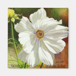 Imán "Flor de octubre: Cosmos" por Janae L…