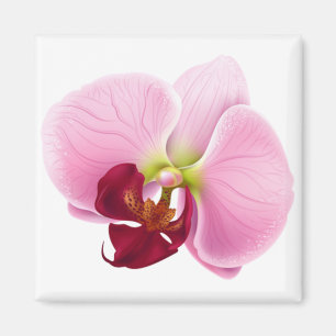 Imán flor de orquídea