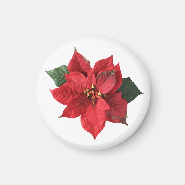 Imán Flor de Pascua Roja de Navidad (Frente)