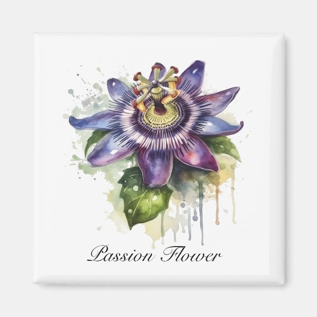 Imán Flor de pasión púrpura apasionada (Frente)