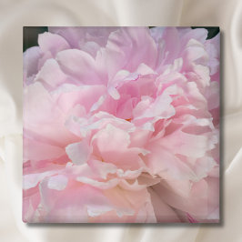 Imán Flor de Peonía Rosa