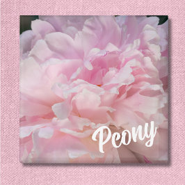 Imán Flor de Peonía Rosa para Amantes de Peonías
