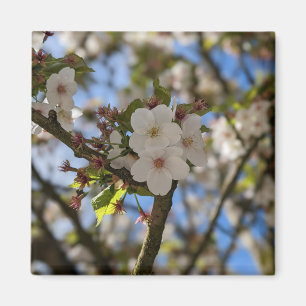 Imán Flor de primavera