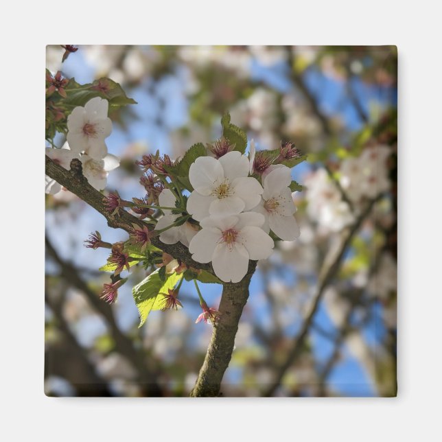 Imán Flor de primavera (Frente)