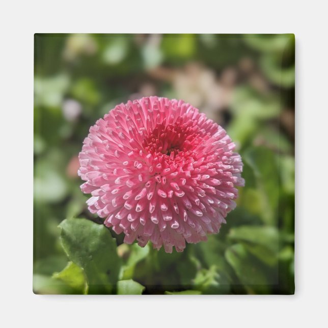 Imán Flor de primavera (Frente)