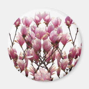Imán Flor de primavera de Magnolias rosadas en flor