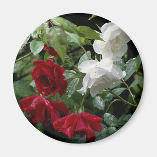 Imán Flor de Rosa encorvada