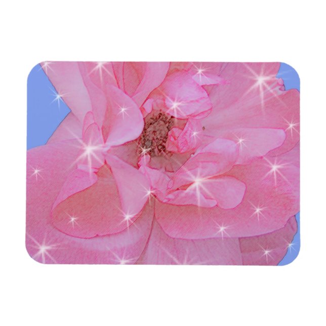 Imán flor de rosa rosa y estrellas brillantes (Horizontal)