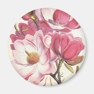 Imán Flor del árbol de la magnolia del vintage, flores