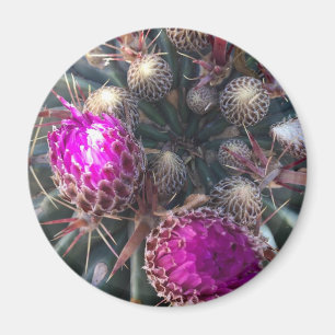 Imán Flor del cactus