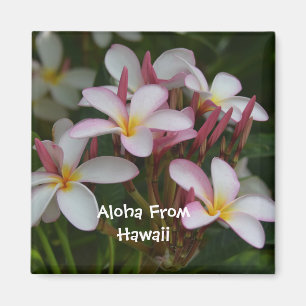 Imán Flor del Plumeria