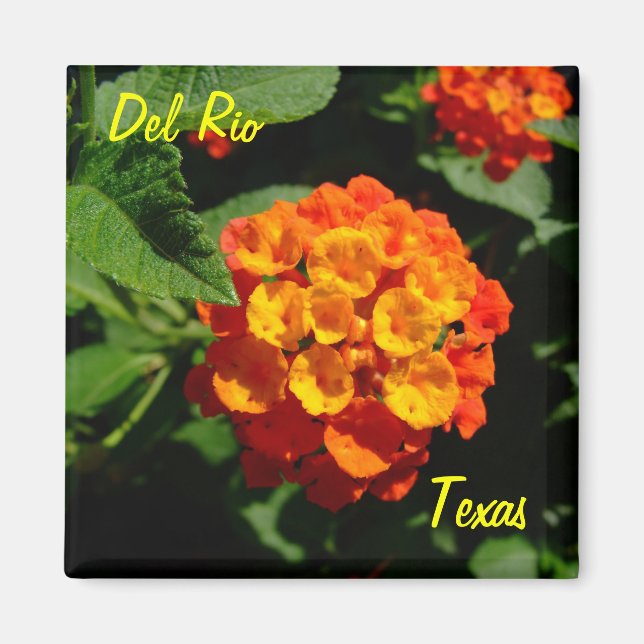 Imán Flor del río Texas Magnet Lantana (Frente)