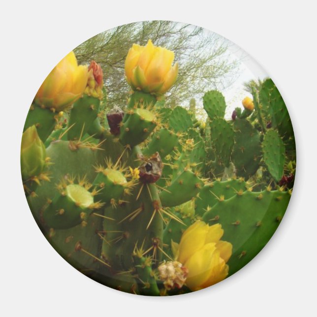 Imán Flor desértica (Frente)