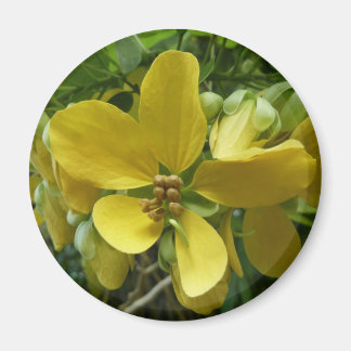 Imán Flor dorada de árbol tropical amarillo