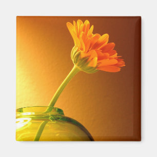 Imán Flor en Vase