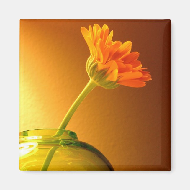 Imán Flor en Vase (Frente)