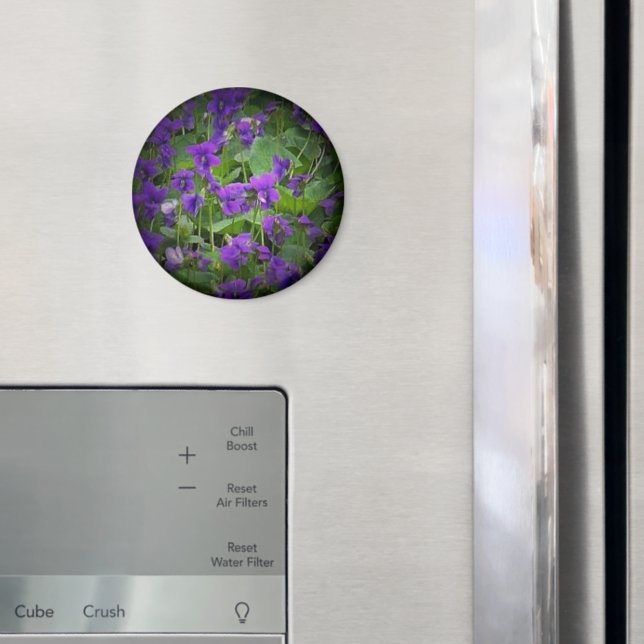 Imán Flor estatal de Wisconsin: el foco de la Violeta M (In situ (nevera))