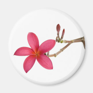 Imán Flor frangipani roja