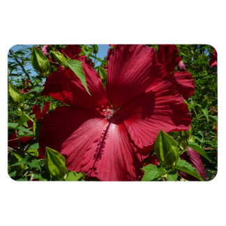 Imán Flor hibiscus y cielo azul
