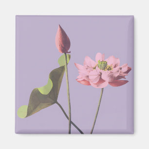 Imán Flor Lotus de Ogawa Kazumasa