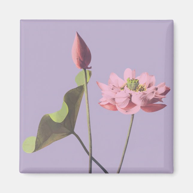 Imán Flor Lotus de Ogawa Kazumasa (Frente)