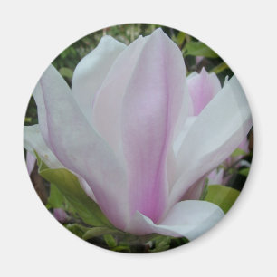 Imán flor magnolia