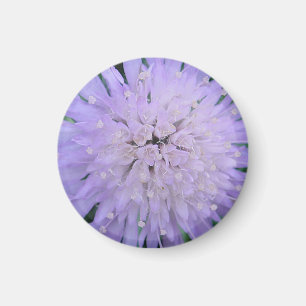 Imán Flor morada