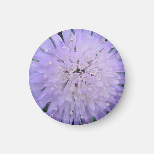 Imán Flor morada (Frente)