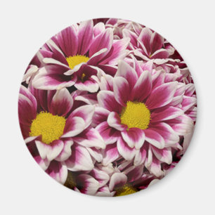 Imán Flor morada