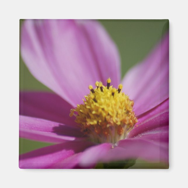 Imán Flor morada (Frente)