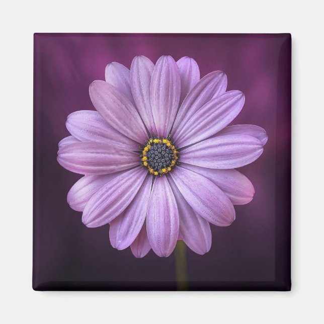 Imán Flor morada en flor (Frente)