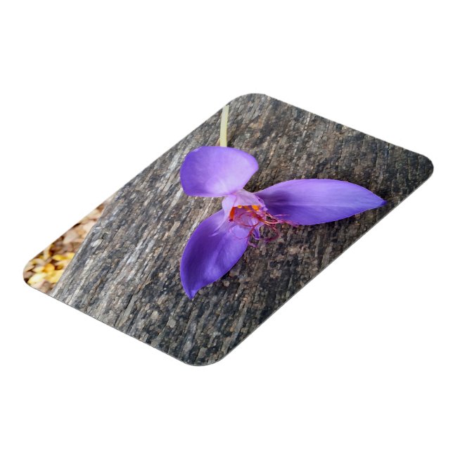 Imán Flor morada en un banco (Lado Izquierdo)