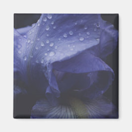 Imán Flor morada Rosa