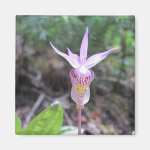 Imán Flor Orquídea