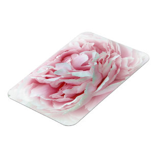 Imán Flor Pastel