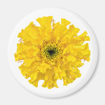 Flor Química Magnet Marigold
