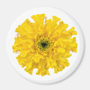 Imán Flor Química Magnet Marigold