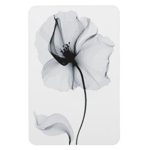 Imán Flor resplandeciente: La reflexión radiante de la 