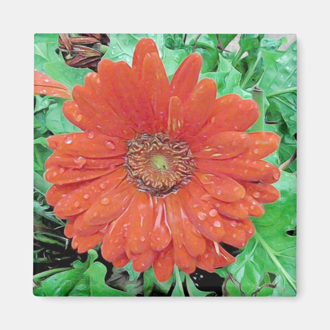 Imán Flor roja bonito con gotitas de lluvia (Frente)