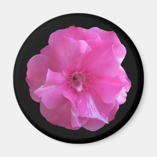 Imán Flor rosa