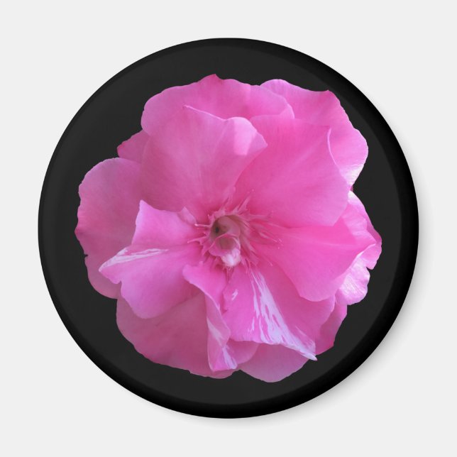 Imán Flor rosa (Frente)