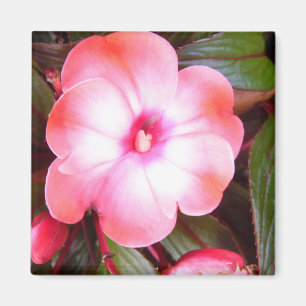 Imán Flor rosa