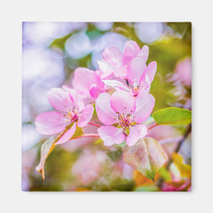 Imán Flor rosa de manzana