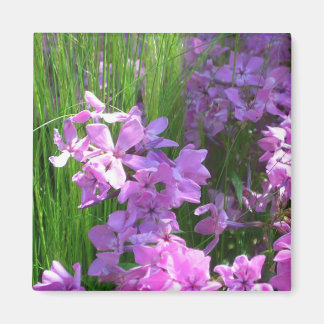 Imán Flor rosa de verano y hierba