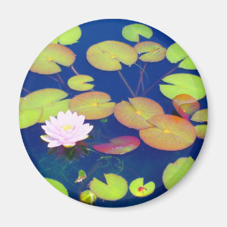 Imán Flor rosa Lotus flotando con almohadillas de lirio
