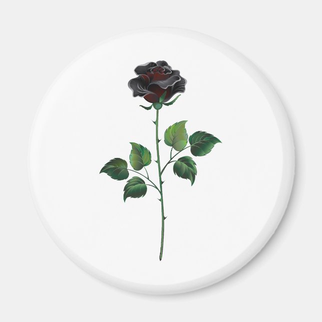 Imán Flor rosa negra (Frente)