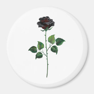 Imán Flor rosa negra