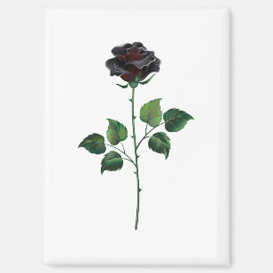 Imán Flor rosa negra