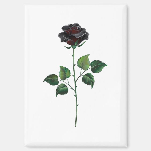Imán Flor rosa negra (Anverso)